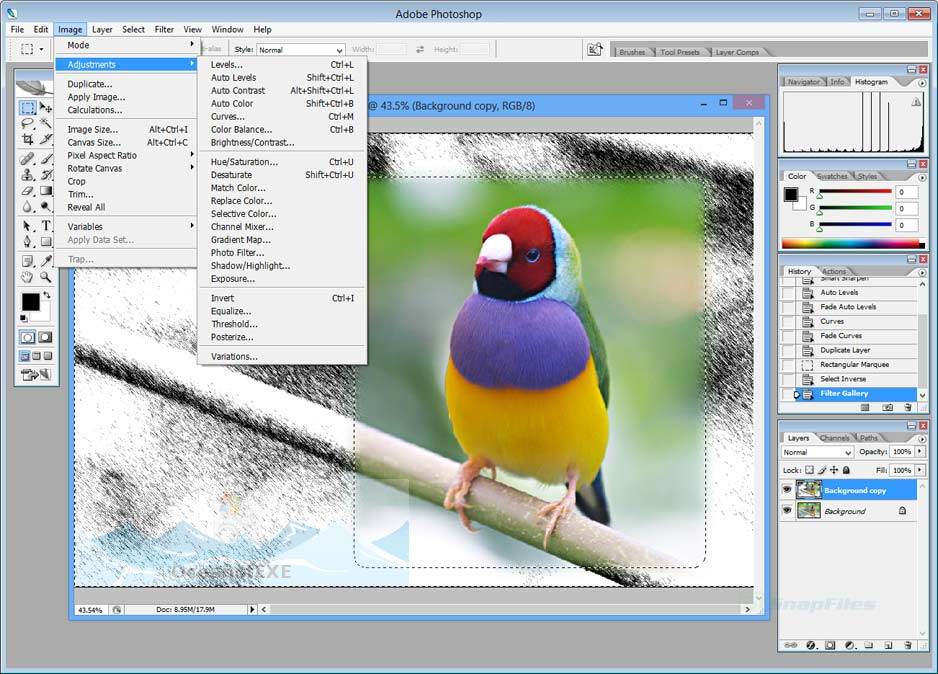 Adobe Photoshop CS2 Latest Version Download