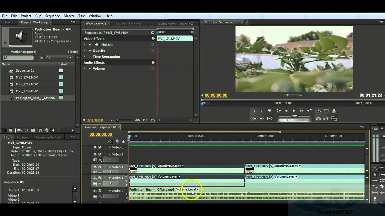 Adobe Premiere Pro CS4 Offline Installer Download