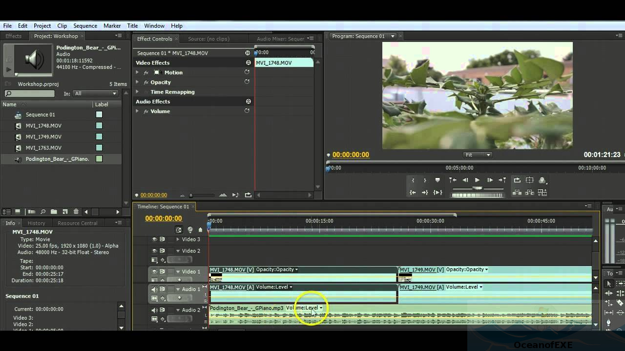 adobe premiere pro cs4 and after effects cs4 download